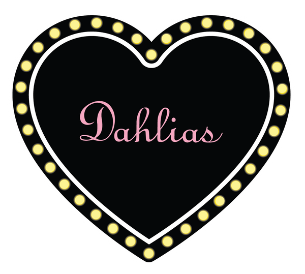 Dahlias